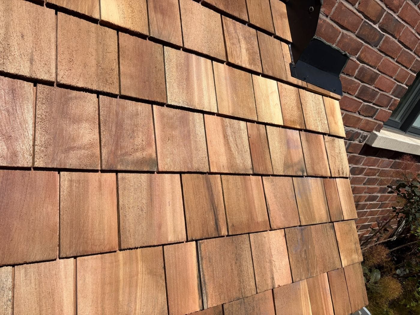 Cedar Shake